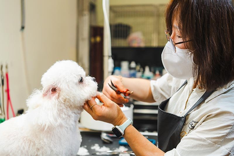 petjoy grooming